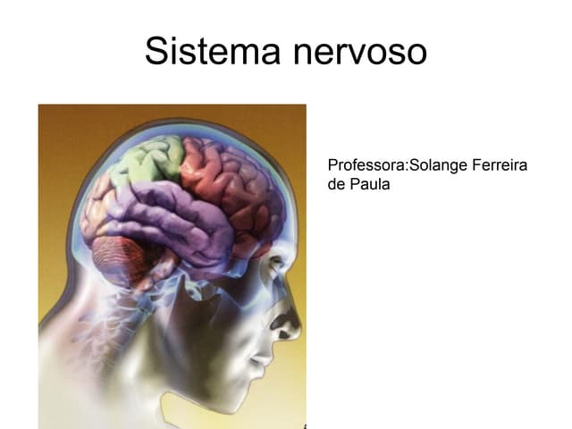 Sistema Nervoso