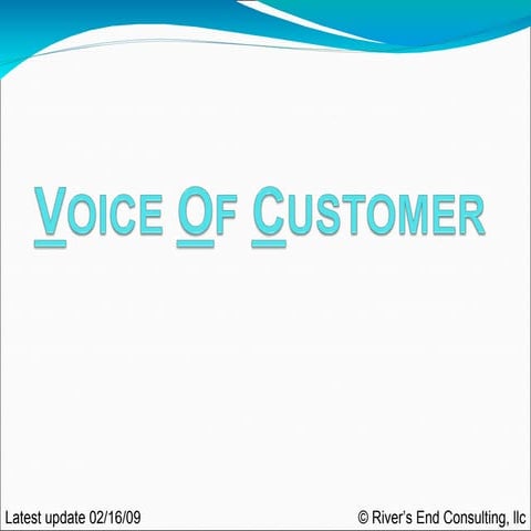 Voice of Customer process