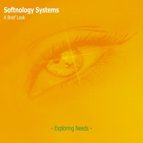 Softnology   A Brief Look 2008