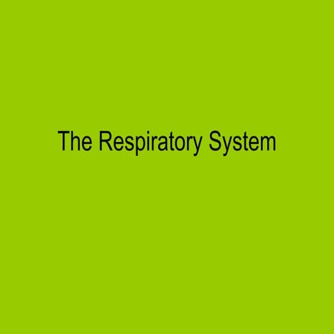 The Respiratory System 