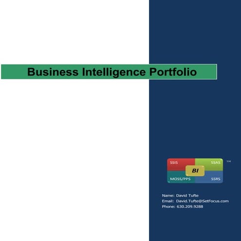 Tufte Sample Bi Portfolio