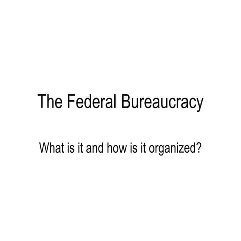 The Bureaucracy