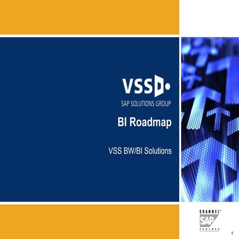 Vss Bw Bi Solutions Roadmap