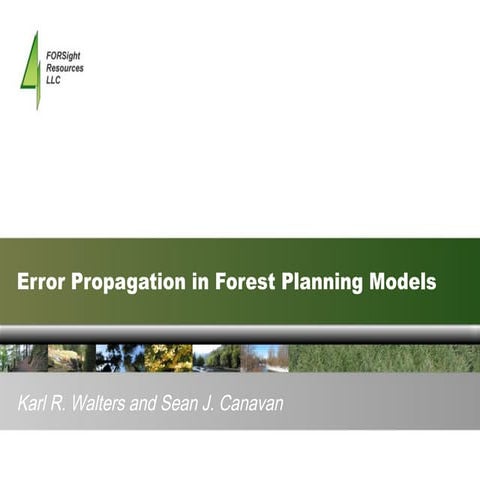 Error Propagation in Forest Planning Models