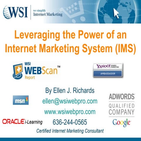 What Wsi Can Do For You
