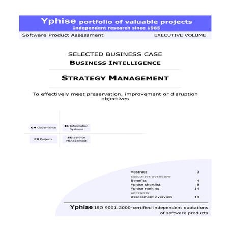 Yphise Software Product Assessment, Strategy Management, December 2008