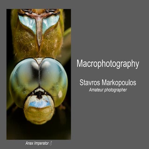 Macrophotography