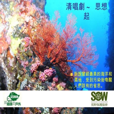 2010 07-24 漪芳-分享海洋議題