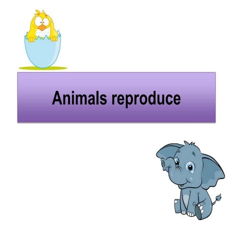 Animals reproduce