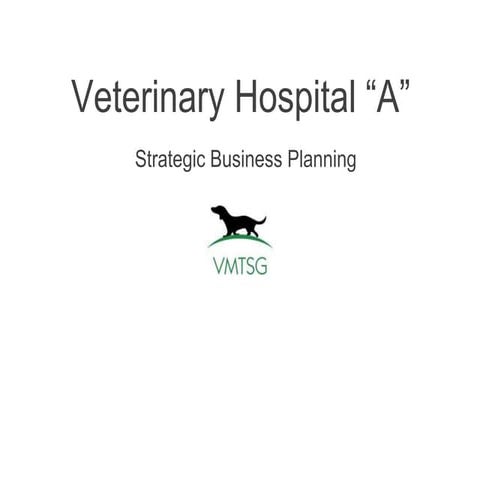 Strategic Business Planning Development