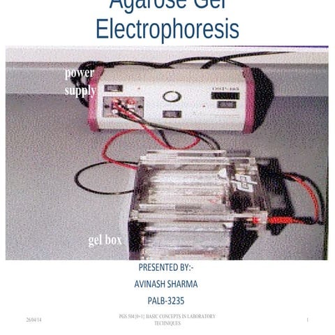 A. gel electrophoresis
