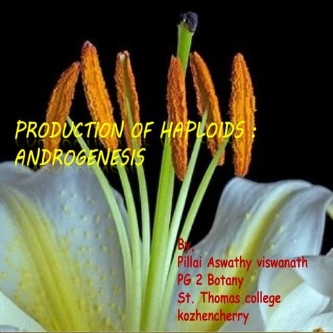 Androgenesis by  Aswathy Viswanath