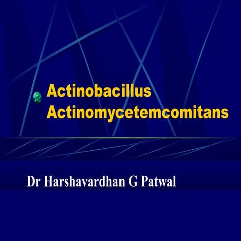 Actinomyces Actinomycetemcomitans - Dr Harshavardhan Patwal