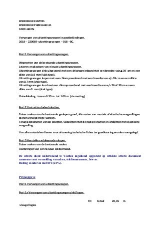 Koning heeft last van lekkende goten