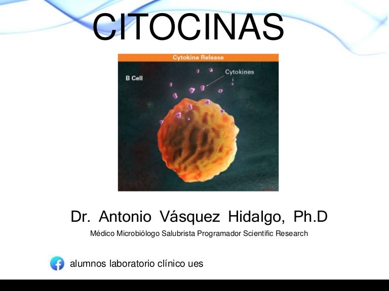 Citocinas