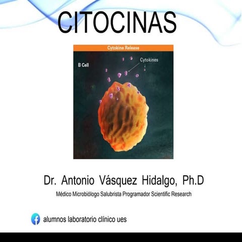 citocinas