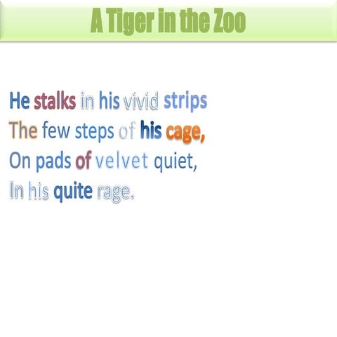 A tiger in the zoo