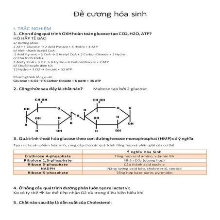 HÓA SINH ĐỀ CƯƠNG | DOCX