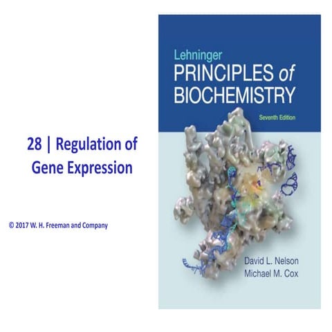 Regulation of gene expression (1).ppt ars | PPT
