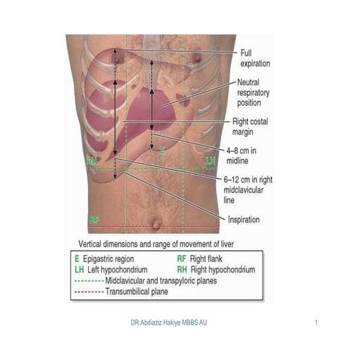 Biliary system anatomy,physiology & investigations | PPTX