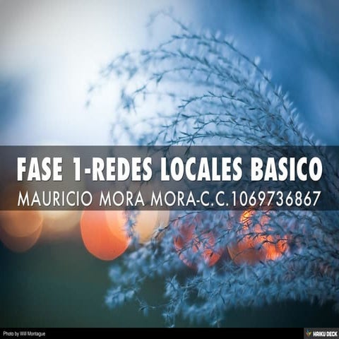 FASE 1-REDES LOCALES BASICO