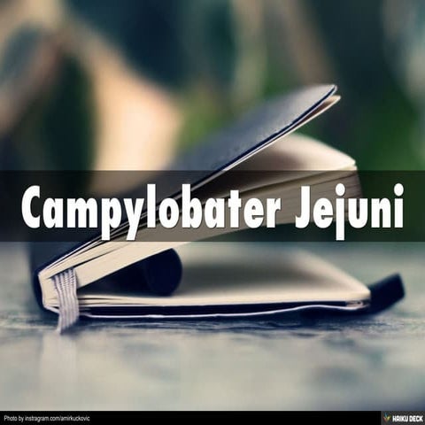 Campylobater Jejuni
