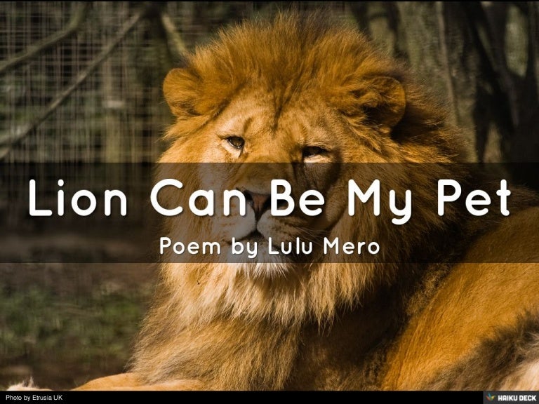 Lion Can Be My Pet