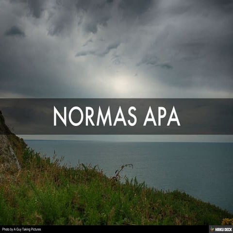 ¿QUE ES LA NORMA APA?