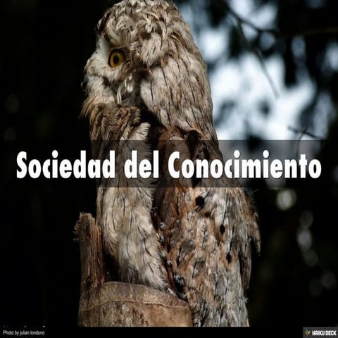 Sociedad del Conocimiento