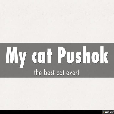 My cat Pushok | PPT