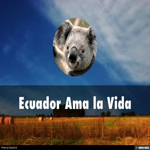 Ecuador Ama la Vida
