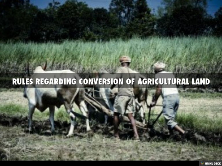 RULES REGARDING CONVERSION OF AGRICULTURAL LAND