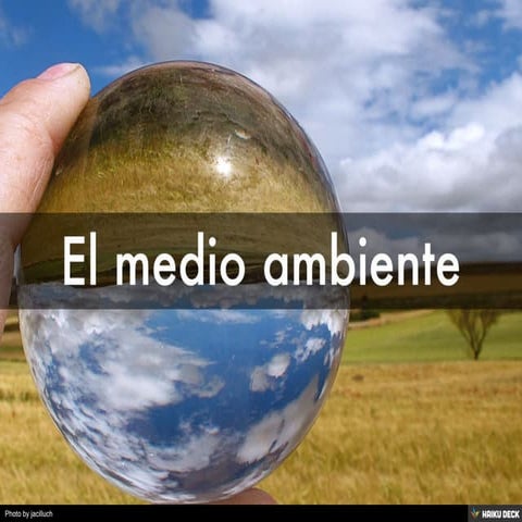 El medio ambiente
