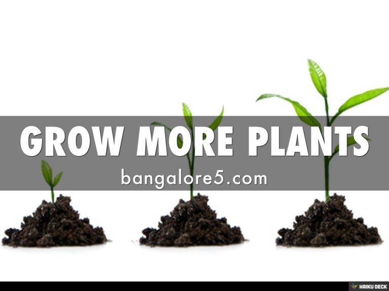 GROW MORE PLANTS