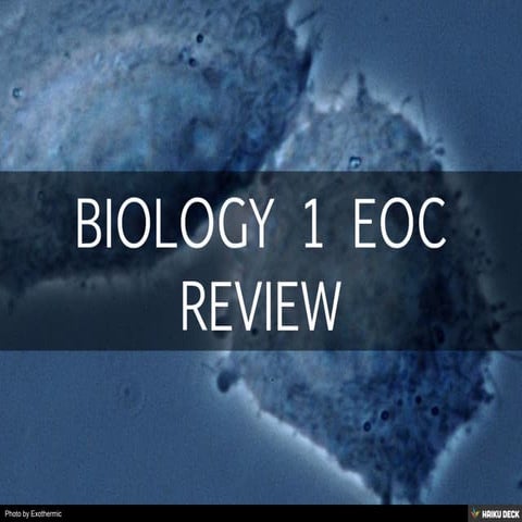 BIOLOGY 1 EOC REVIEW