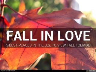 5 Best Places in the U.S. to View Fall Foliage