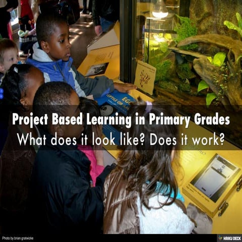 Project Based Learning in Primary Grades