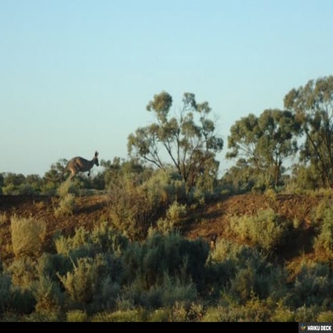 Untitled Presentation