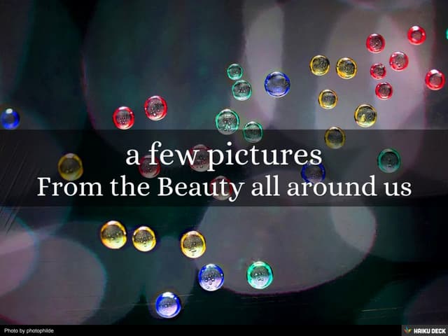 From the Beauty all around us