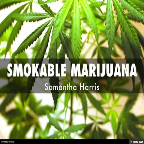SMOKABLE MARIJUANA