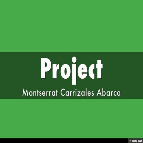 Project