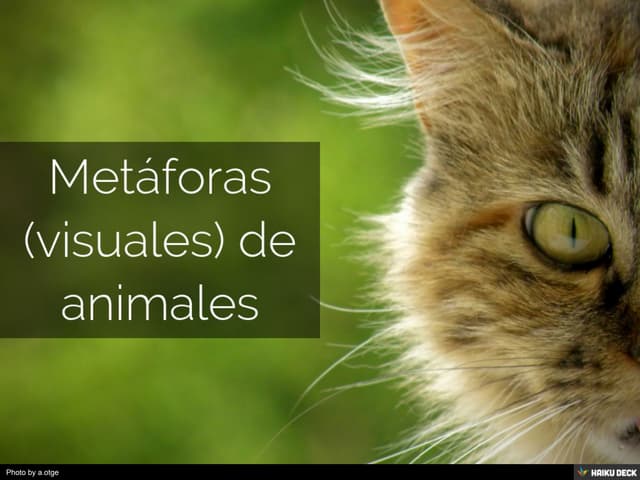 Metáforas de animales en castellano