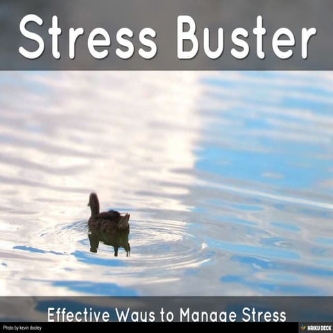 Stress Buster