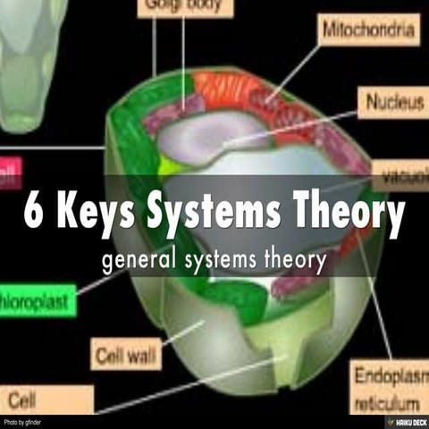 Systems theory in a Summary | PDF