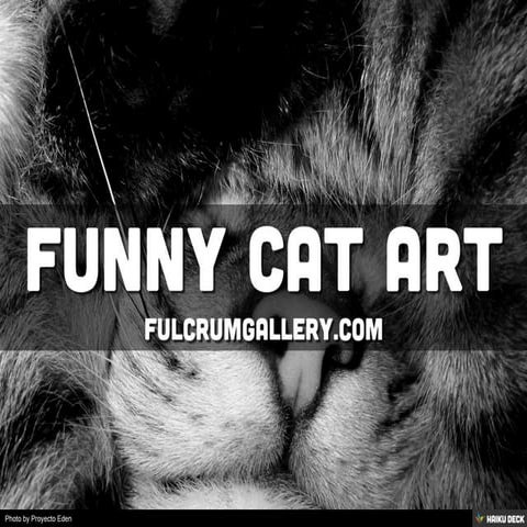 Funny Cat Art