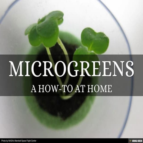 Microgreens