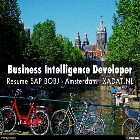 Business Intelligence Developer Resume SAP BOBJ > XADAT.NL