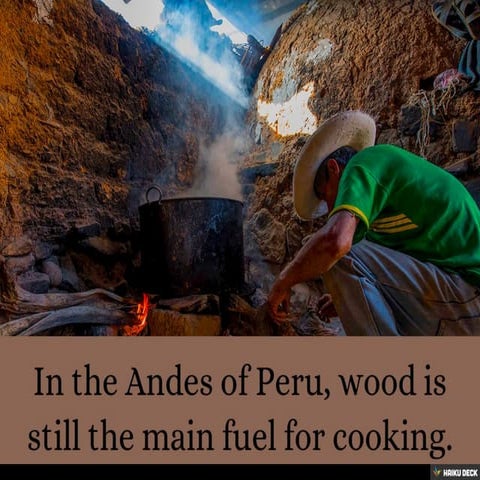 Untitled Presentation