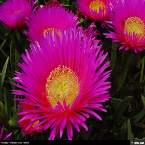 Untitled Presentation