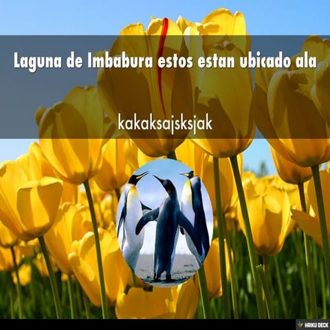 Ibarra ajjkakjskajskajskajksjakajksskaskaskaskajskajkajskasjakjs